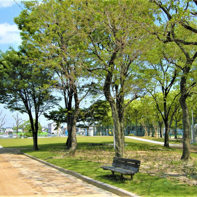 園田公園市民プール跡地のランドスケープ